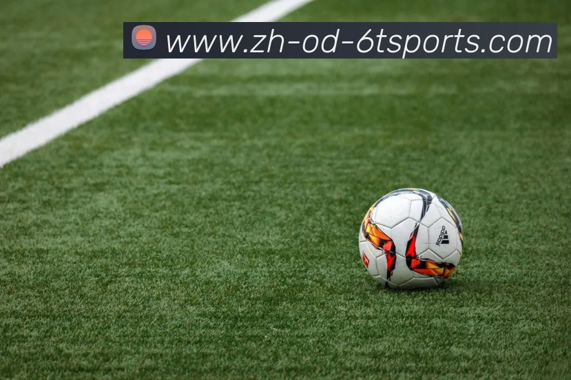 6T体育平台生态图