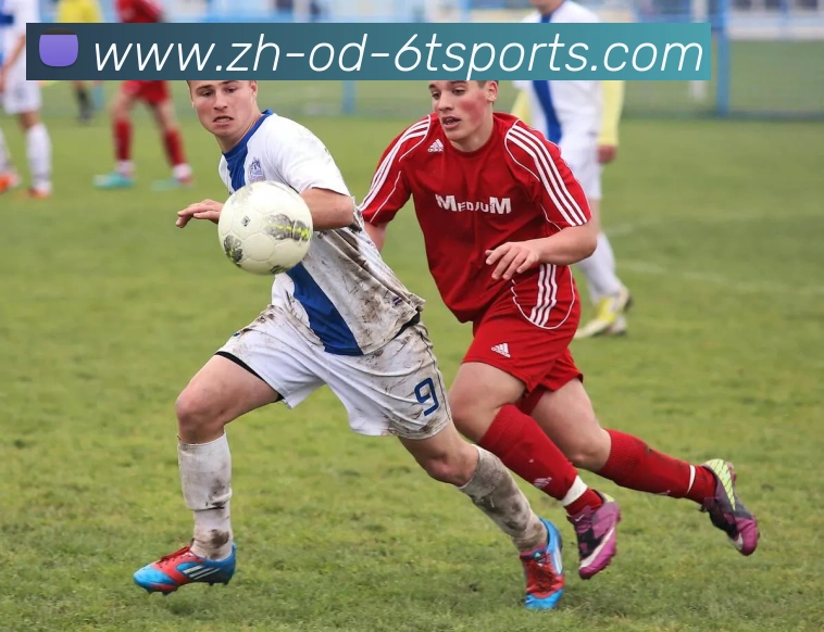 6T体育APP 封面图